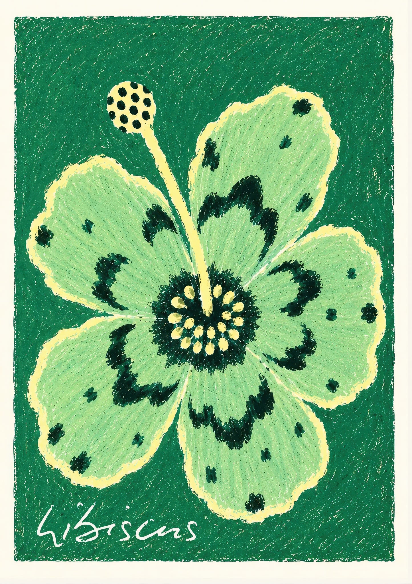 Hibiscus Art Print